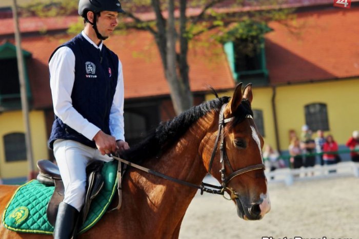 Ilustračný obrázok k článku Veľký konský deň: V Topoľčiankach sa stretli priaznivci jazdectva