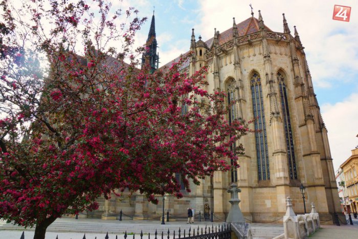 Ilustračný obrázok k článku Jar je už v meste v plnom prúde: OBRÁZKY, ktoré chytia za srdce každého Košičana