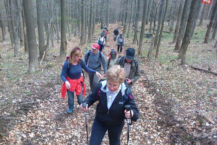 Ilustračný obrázok k článku Pod Tatrami pribudli nové trasy pre športovcov a turistov: Testovali ich aj záprahové psy