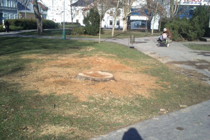 Ilustračný obrázok k článku Čo je vo veci? Výstavba 2. časti Europy a rekonštrukcia námestia stále nezačali!