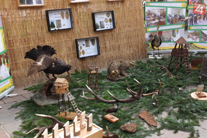 Ilustračný obrázok k článku V Revúcej odštartovali Lesnícke dni: Na čo sa môžete tešiť v centre mesta?