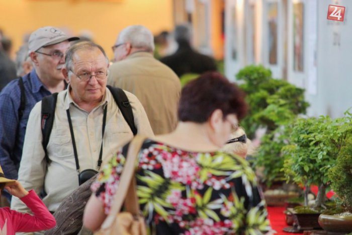 Ilustračný obrázok k článku Päť jarných výstav láka: Nitrianske výstavisko otvorilo svoje brány