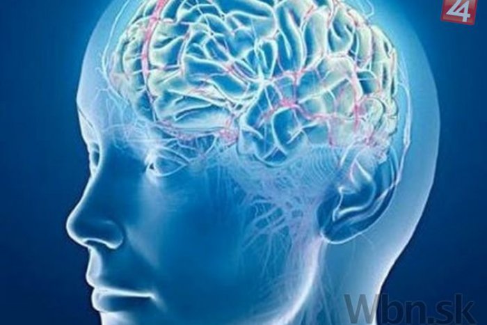 Ilustračný obrázok k článku Úder ho hlavy zmenil povaľačovi život: Stal sa z neho genius!