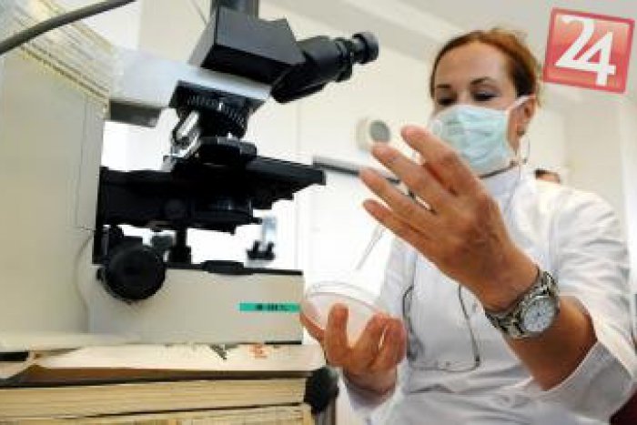 Ilustračný obrázok k článku Škola na východe hore nohami: Žiakov aj učiteľov čaká tortúra, kuchárka s infekčným ochorením!