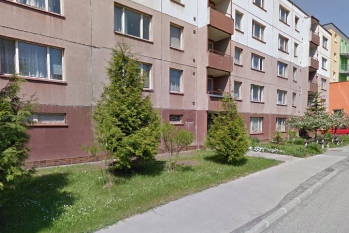 Ilustračný obrázok k článku Seniori môžu tatranskú prírodu sledovať priamo z televízora: Ochrancovia prírody prišli s úžasným vylepšovákom!