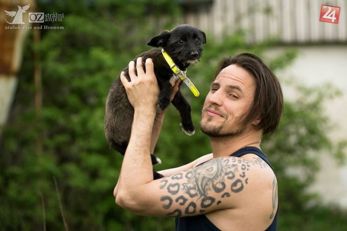 Ilustračný obrázok k článku Žiarsky útulok pre psov je v zúfalej situácii! Do kampane o záchranu sa zapojil aj Mikla