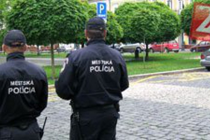 Ilustračný obrázok k článku Pomoc našim susedom: Do obcí smerujú topoľčianski policajti