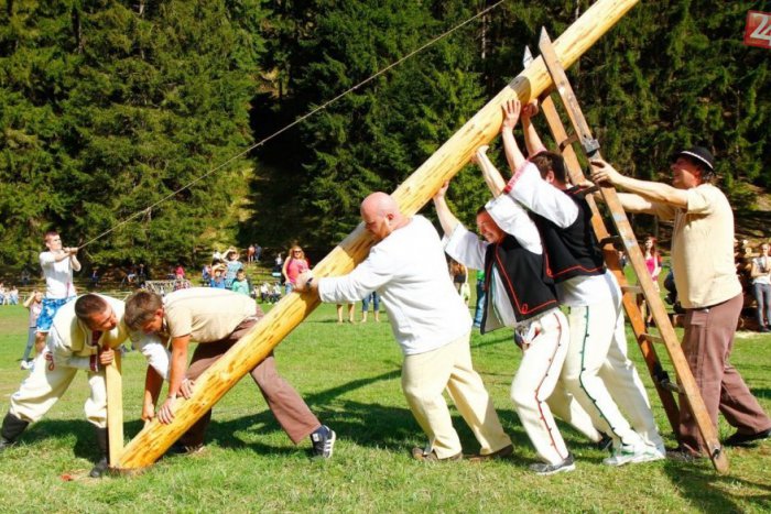 Ilustračný obrázok k článku V sobotu sa bude v Čutkovskej doline opäť sadiť Máj