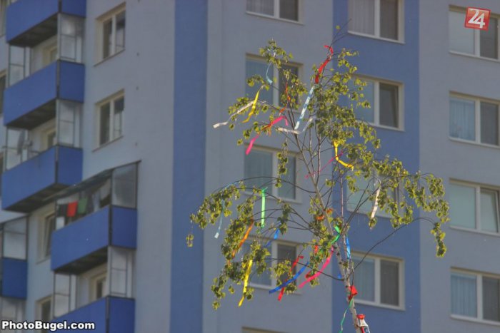 Ilustračný obrázok k článku Najväčšie sídlisko oslavovalo: Na Klokočine postavili máj