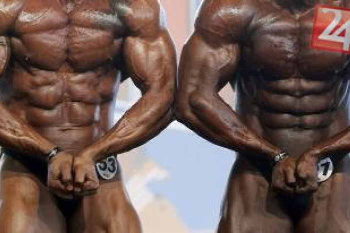 Ilustračný obrázok k článku Namakané telá pod Dubňom: Kulturistická špička si to rozdala v Žiline, Slováci sa nestratili