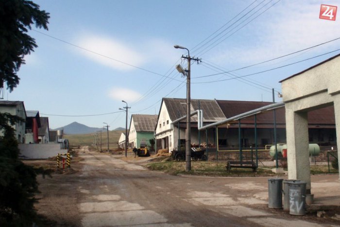 Ilustračný obrázok k článku Na družstve v Liptovskej Štiavnici sa kradlo: Kde skončila mladá jalovica?