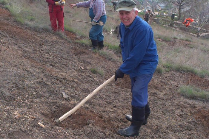 Ilustračný obrázok k článku V Jelšave sa pokúšajú oživiť kopec Hradovisko. Dobrovoľníci tam vysadili 1000 kusov sadeníc