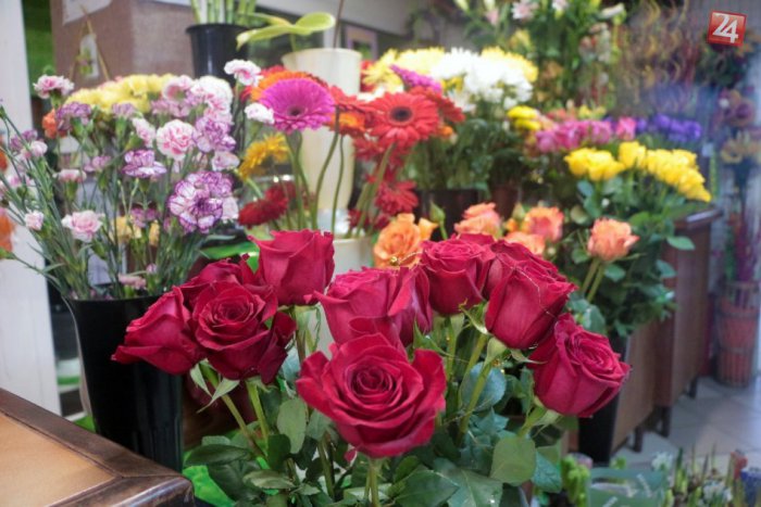 Ilustračný obrázok k článku TIPY na víkend: Na MDŽ do dvorany alebo na Choč, futbal, koncerty a divadlá