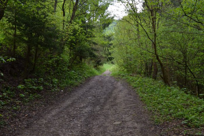 Ilustračný obrázok k článku TIPY na víkend: Divadlo, večer v Galérii Ľ.Fullu, turistická vychádzka a iné