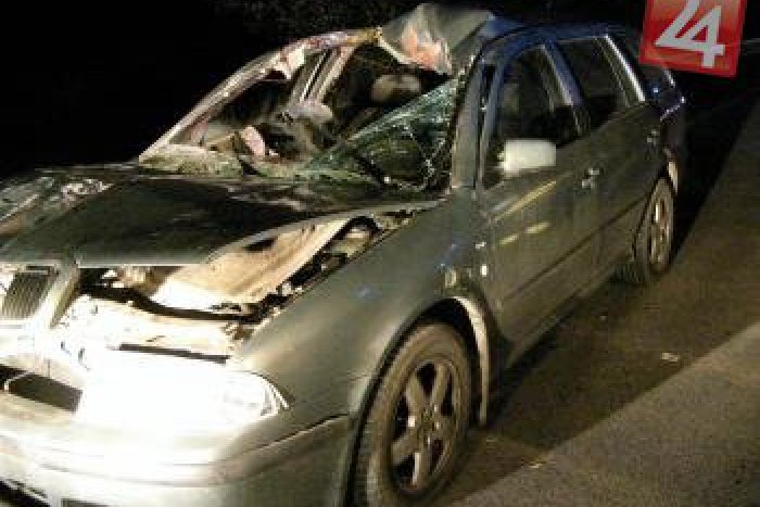 Ilustračný obrázok k článku Tragédia: Mladý vodič (†23) narazil do stromu, na mieste bol mŕtvy