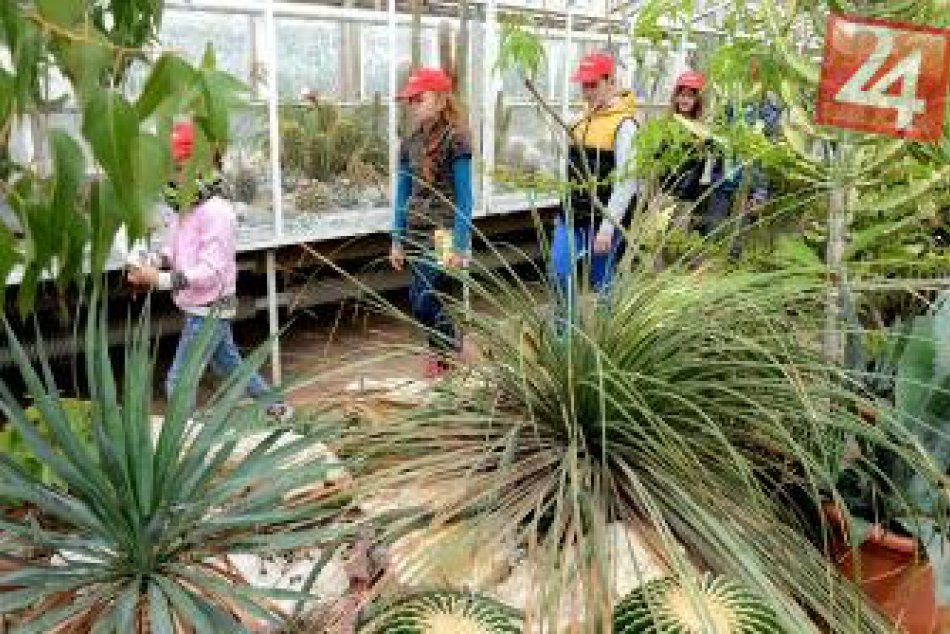 Ilustračný obrázok k článku Košická Botanická záhrada s novým programom: Na čo sa môžete tešiť?