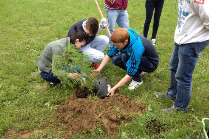 Ilustračný obrázok k článku Tucet malých Brezňanov má už svoj stromček: Vaše bábo ho môže mať tiež!