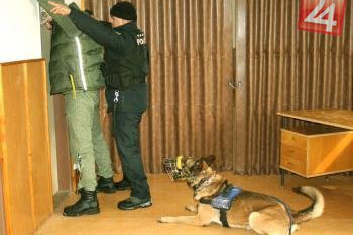 Ilustračný obrázok k článku Viac ako 20 príslušníkov silových zložiek a služobných psov: Hľadajú výbušniny a drogy!