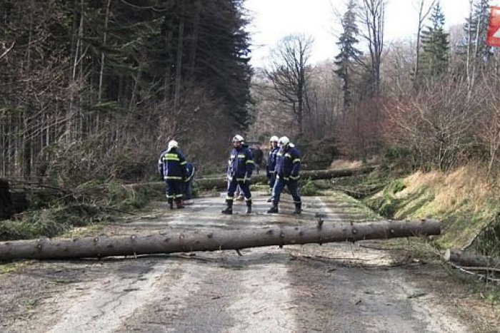 Ilustračný obrázok k článku Rozčertené počasie sa ukázalo: Hasiči celý deň sprejazdňujú  zatarasené cesty!
