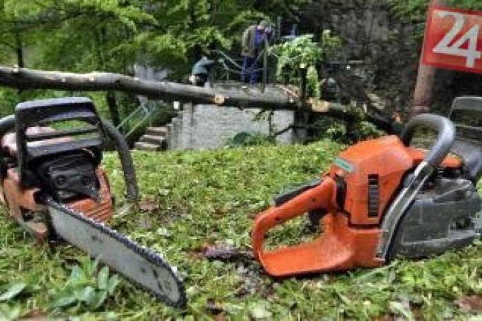 Ilustračný obrázok k článku Cestu do lesa si radšej rozmyslite: Stále hrozí nebezpečenstvo padania stromov a konárov