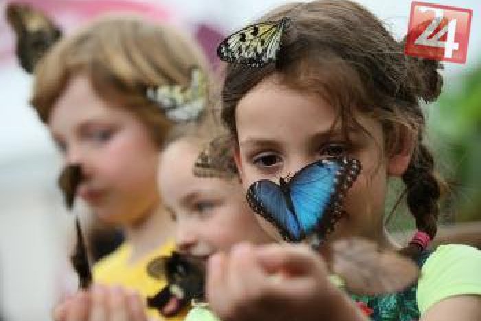Ilustračný obrázok k článku Súťaže, zábava a parádna muzika: Takýto majáles na nádvorí Čierneho orla tu ešte nebol!