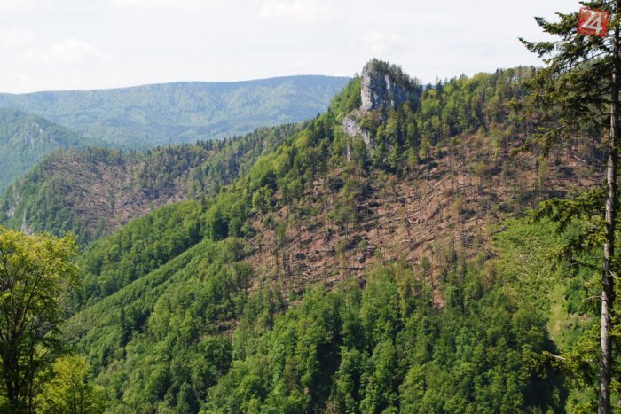 Ilustračný obrázok k článku Ničivé dôsledky veternej kalamity: Do TÝCHTO lokalít v okolí mesta radšej nevstupujte!