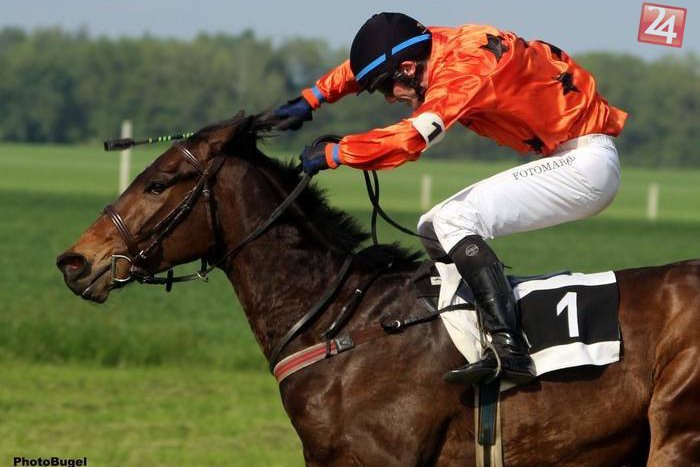 Ilustračný obrázok k článku Tradičná nedeľná zábava pre Bratislavčanov? Jarná cena Petržalky otvorí dostihovú sezónu