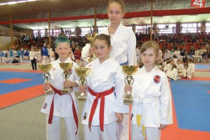 Ilustračný obrázok k článku Parádny úspech žiarskych karatistov na Majstrovstvách Slovenska: Sečkár (8) obhájil titul, ďalších sedem kovov v Žiari