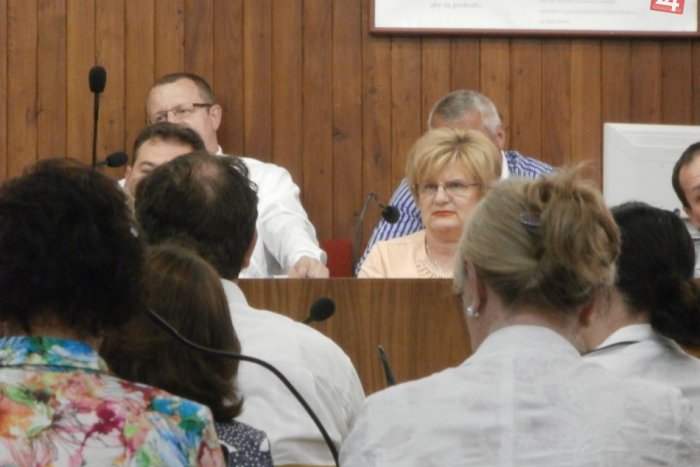 Ilustračný obrázok k článku Dusno a búrlivá diskusia kvôli plavárni: Na zastupiteľstve padali ostré slová!