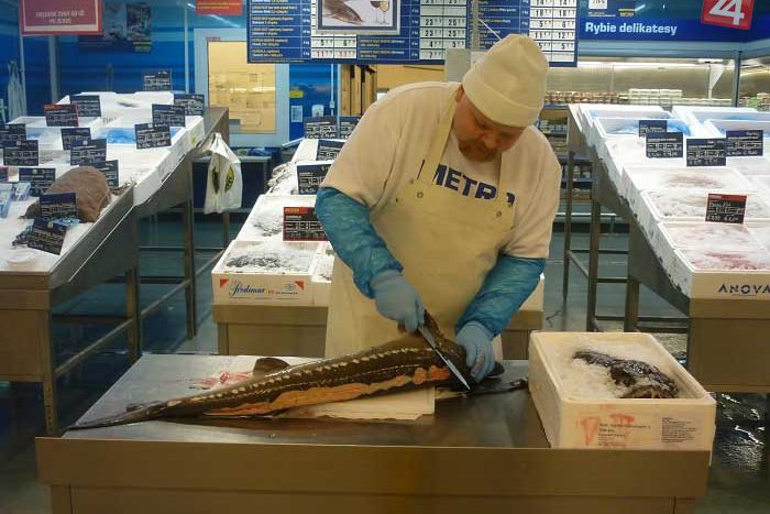 Ilustračný obrázok k článku V Metro Devínska Nová Ves sa snúbili ryby s vínom