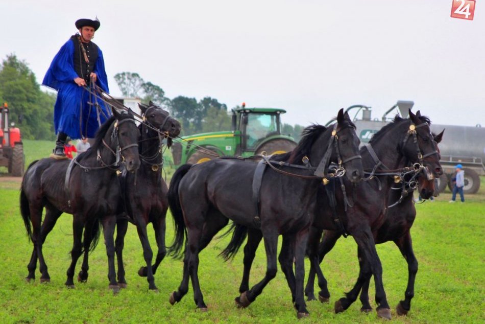 Ilustračný obrázok k článku Vzácne prvenstvo obce pri Nitre: Konali sa tu prvé dostihy v strednej Európe