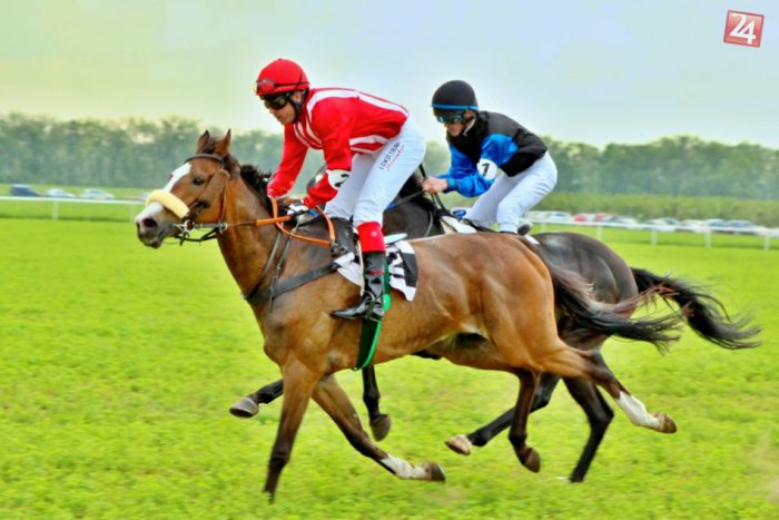 Ilustračný obrázok k článku Sila a výbušnosť koní: Neďaleko Nitry si pripomenuli 200 rokov od prvých dostihov