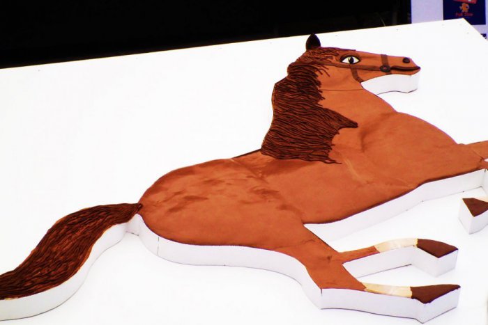 Ilustračný obrázok k článku Záverečný deň Festivalu dobrej chuti: Prešovčania boli svedkami unikátneho slovenského rekordu!