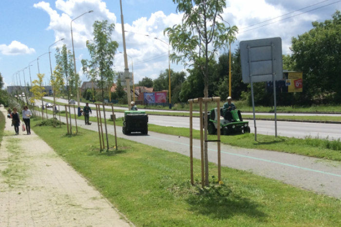 Ilustračný obrázok k článku Prešovskí poslanci odklepli siedmu úpravu rozpočtu: Pomohlo aj sťažovanie na absenciu kosby!