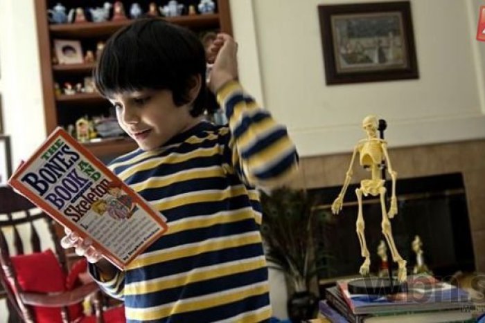 Ilustračný obrázok k článku Tomu sa vraví výnimočná inteligencia: Iba 10-ročný chlapec úspešne zmaturoval!