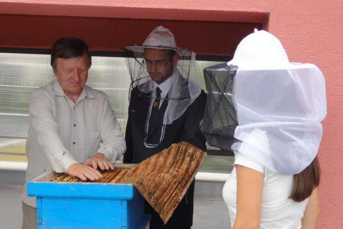 Ilustračný obrázok k článku FOTO: Prvý verejný úľ vo Zvolene. Je v ňom 50 000 mestských včiel!