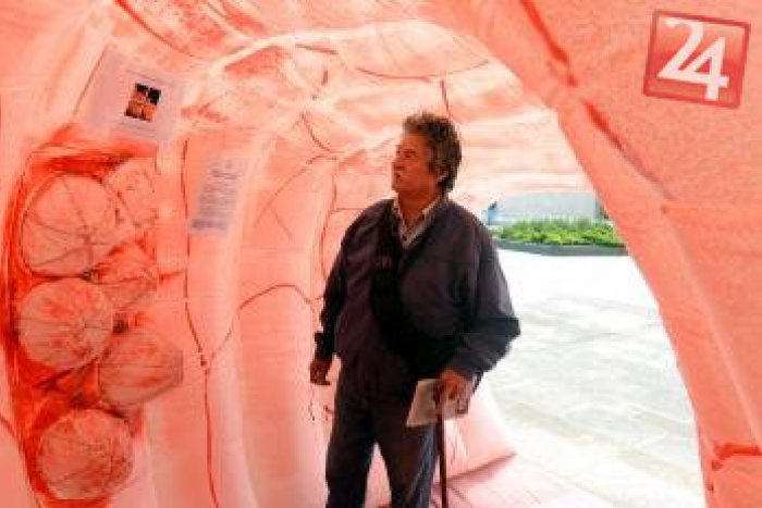 Ilustračný obrázok k článku FOTO: Oči Košičanov pred magistrátom upútalo obrie nafukovacie čudo!