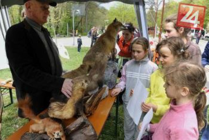Ilustračný obrázok k článku Les ukrýva malé aj veľké tajomstvá: Presvedčili sa o tom aj najmenší