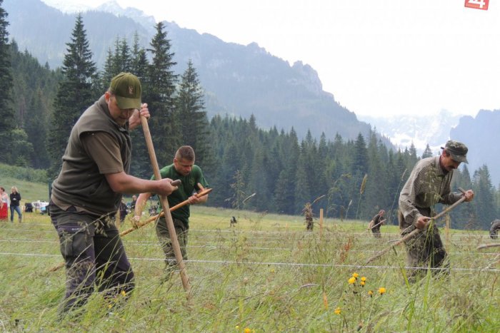 Ilustračný obrázok k článku OBRAZOM: Takto sa kosia lúky v chránenom území