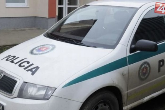 Ilustračný obrázok k článku Videli ste nehodu na diaľnici D2? Hľadajú  sa svedkovia