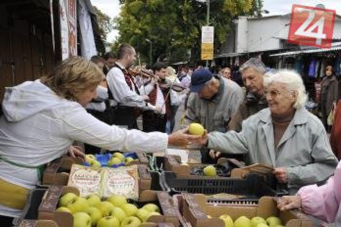 Ilustračný obrázok k článku Posvietia si na predajcov: Kontrolóri sa chystajú preveriť trhoviská po celom kraji!