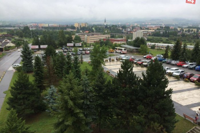 Ilustračný obrázok k článku Sezóna medvedieho cesnaku je už tu: Kde v okolí Spišskej si lahôdku z prírody môžete nazbierať?