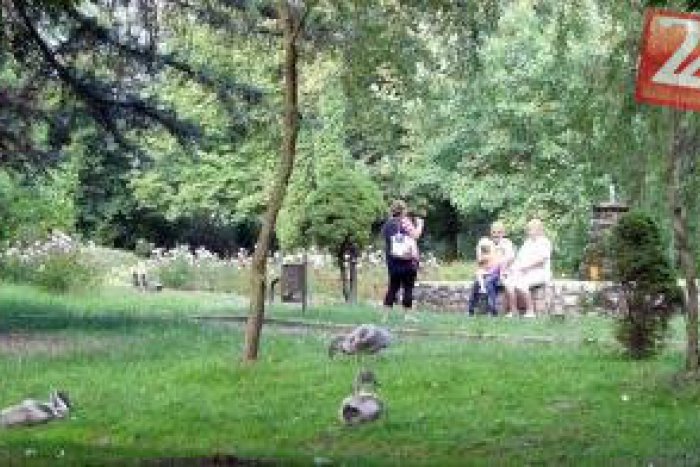 Ilustračný obrázok k článku Žilinčania budú mať nové piknikové miesta: Mesto chce rozšíriť lesopark!