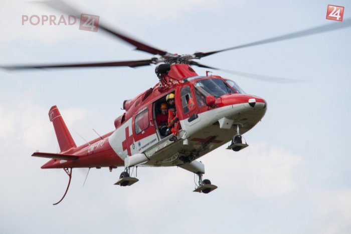 Ilustračný obrázok k článku Pri Lendaku zasahoval vrtuľník: Mladej žene sa vretenica zahryzla dvakrát do nohy