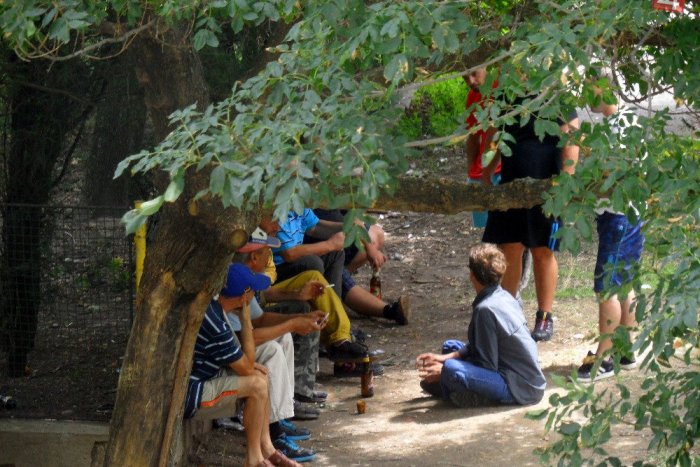 Ilustračný obrázok k článku Hluk, zápach a veľký bordel: Bezdomovci Monike z Moraviec strpčujú život