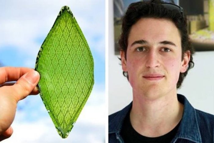 Ilustračný obrázok k článku Študent vytvoril revolučný vynález: Umelý list, ktorý dokáže tvoriť kyslík