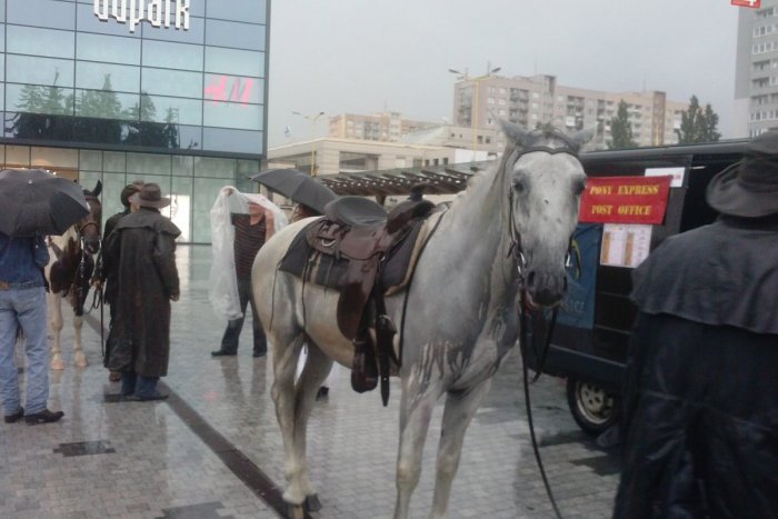 Ilustračný obrázok k článku Ľudia sa tešili nádherným koňom: Do Košíc zavítal Pony Express