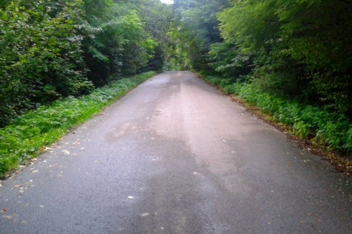 Ilustračný obrázok k článku O čo ide? Na Domaši sa objavila megažaba! FOTO