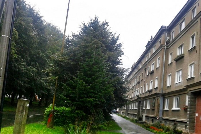 Ilustračný obrázok k článku Bytovka pri obnovovanom parku na Sídlisku I: Neuveríte, čo našli robotníci pri jej výstavbe!