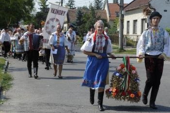Ilustračný obrázok k článku Petícia za linku 630: Podarí sa zachovať spoj do Vajnor a Chorvátskeho Grobu?
